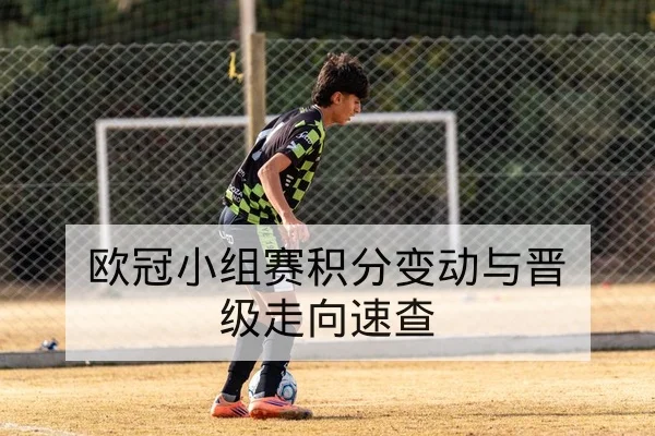 英超关键轮次积分榜变化与晋级降级形势查询